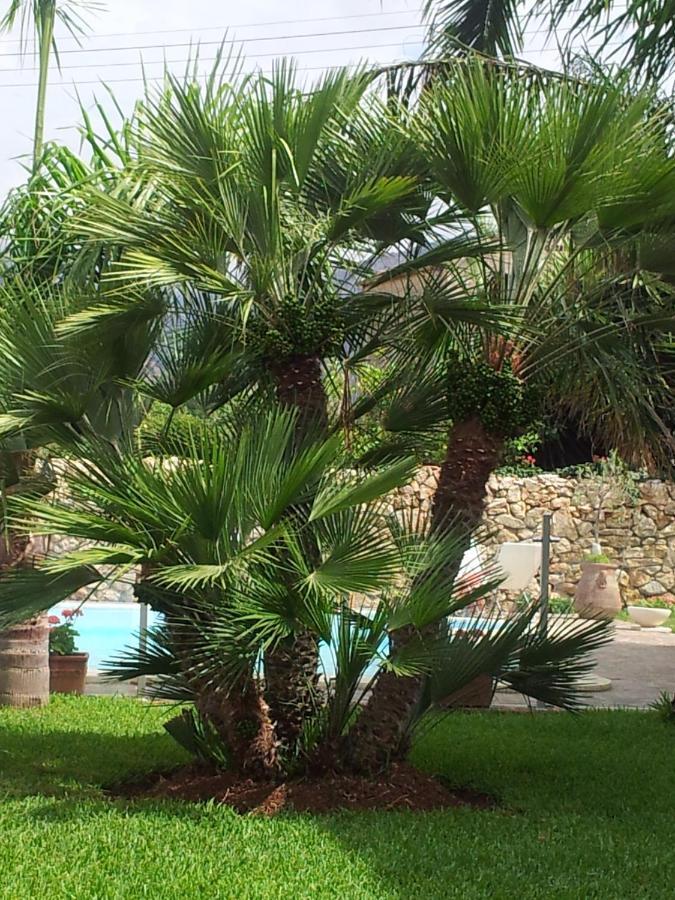 Villa Manzella Piscina Privata 씨니시 외부 사진